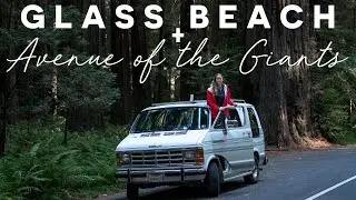 Avenue of the Giants California + Glass Beach Fort Bragg (Van Vlog)
