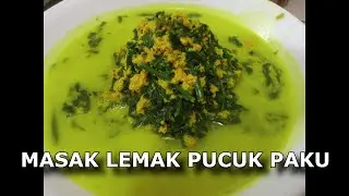 MASAK LEMAK PUCUK PAKU