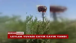 LEYLEK YUVASI CAYIR CAYIR YANDI