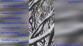 Мир вокруг нас