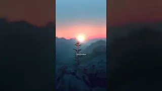 Main agar kahoon Humsafar meri🎵🥵| lo-fi song status||#shorts #lofi #status#viralvideo#lofiststus 💖🙈🥰