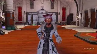 FFXIV: How To Unlock The Exercise Emotes!