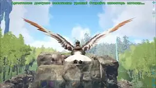 Выживаем на сервере Аркава