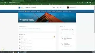 Custom Google Meet Widget in Brightspace