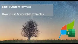 Smart Excel Custom Formats (Advanced) - Are you ready to Wow your Boss
