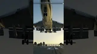 747 Classic Saint Martin Landing On Shared Flight