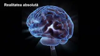 Teoria absolută a realității fundamentale