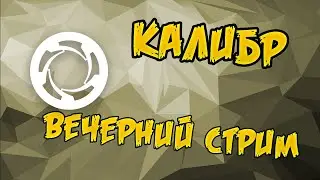 Калибр: вечерний стрим - Снайпера / Травник / Перун