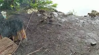 Утка
