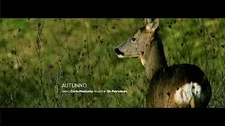 AUTUNNO