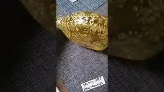 Моята АРТ Драсканица