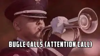 Attention! 💂‍♀️  The 