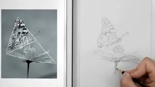 Learn how to draw anything using basic guidelines to get accurate proportions in your sketch.
