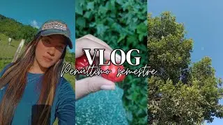 VLOG 37 / PENÚLTIMO SEMESTRE DA UNIVERSIDADE/ GRAVAÇÕES PARA DOCUMENTÁRIO