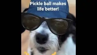Pawsitive Bernie: Pickle ball makes life better