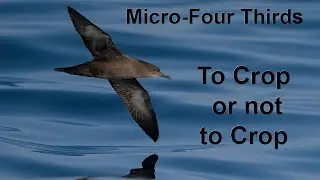 But you can't crop MFT files can you? Follow the forums and that is what you are told.