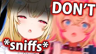 Fuwawa starts trying to sniff Mococo on-stream IRL: