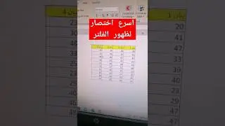 وفر وقتك مع خفايا الاكسل - اختصار لظهور الفلتر في الاكسل