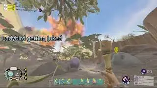How its like getting berries in the upperyard (grounded)