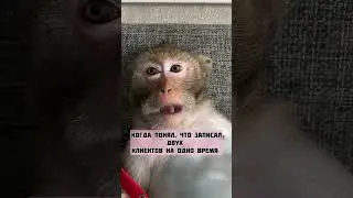 Макакина ошибка