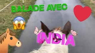 Balade 1/3/2019 avec India. Ça ne se passe pas comme prévu 😱😱
