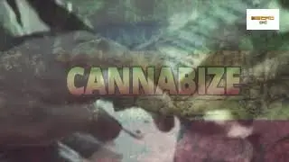 Wineng - "Cannabize Reggae" Cover by Valen Vardam ft. Encho Dc (Official Lyric video)