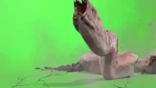Green Screen FX, Sand Worms 320p