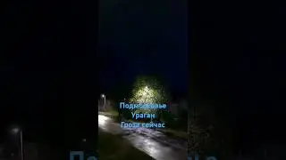 Ураганный ветер, гроза в подмосковье сейчас, 5 июля 2024 г.