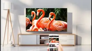 TCL С815 4К Смарт Андройд QLED ТВ 丨 TCL C815 4K Smart Android QLED TV