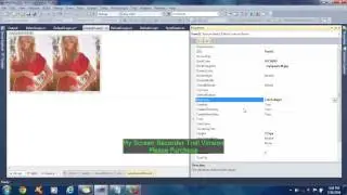 HOW TO USE PANEL CONTROL IN ASP.NET