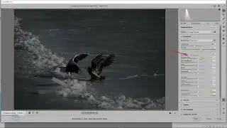 Выбираем параметры открытия Raw файла в ACR