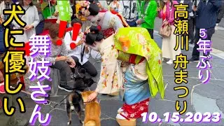 【高瀬川舟まつり•京都】舞妓さん『可愛い』と外国人観光客に⁉️犬に優しい舞妓5年ぶりの祭|Maiko Live Japanese Tea performance in Kyoto 10.15.2023