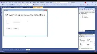 How to Insert in C# Using SQL Connection String