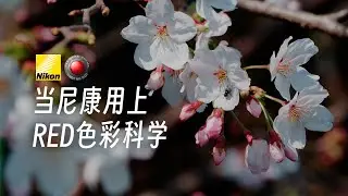 当尼康用上RED LUT：色彩极度惊艳