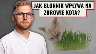 Błonnik w diecie kota – czy naprawdę jest potrzebny?