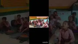 पापा एक तोता लाए