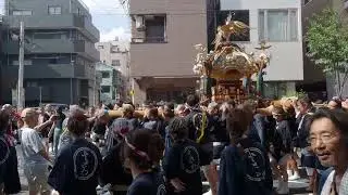 深川神明宮　例大祭　勇壮な水掛け祭　町内神輿渡御　2024/08/18  e6