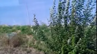 VID 20190915 115938
