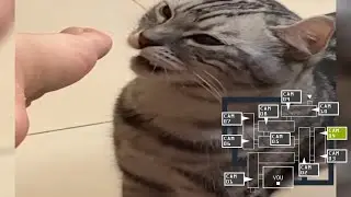 fnaf cat edition