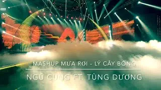 NGŨ CUNG Ft. TÙNG DƯƠNG | MASHUP MƯA RƠI - LÝ CÂY CÔNG