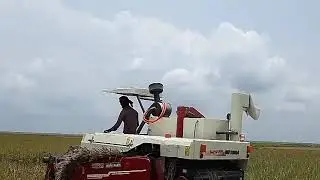 New model mini combine harvester