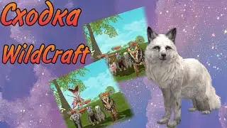 Сходка WildCraft💖