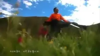 tipten song