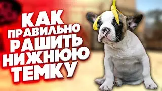 КАК ПРАВИЛЬНО РАШИТЬ НИЖНЮЮ ТЕМКУ || УГАРАЕМ В CS:GO #2