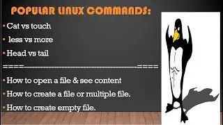 Linux basic commands | cat | touch | more vs less | head vs tail | creat a file in Linux | view file