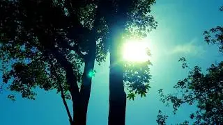 Киев.так как вижу.