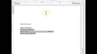 Creating a Table of Contents Page with Tabs and Leaders