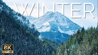 Winter 8K