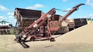 РАЗГРУЗКА ЗЕРНА / ОЗИМАЯ РОЖЬ