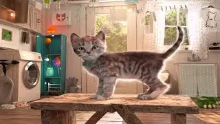 Little Kitten Adventures - Gameplay Video | Games for Kids